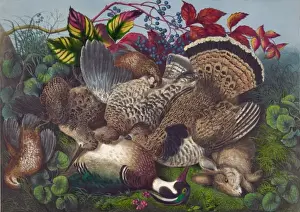 American Countryside Landscape Drucke: American dead game