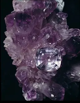 Mineral Specimen Photography Drucke: Amethyst