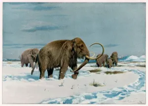 Ice Age Mammals Drucke: Mammoth Herd