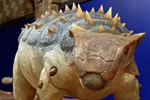 Extinct Herbivorous Dinosaurs Drucke: Ankylosaurus