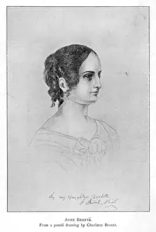 Anna Bradfisch / Profil