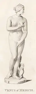 Roman Goddess Statue Drucke: Aphrodite / Volpato