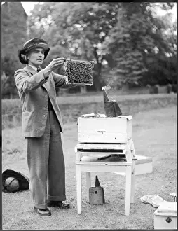 Apiculture Practices Drucke: The Apiarist