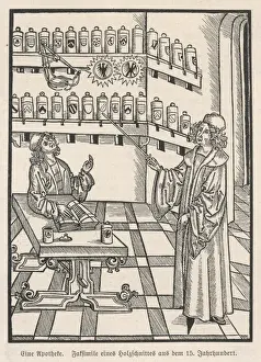 Medicinal Herbs Online Drucke: Apothecary 1505