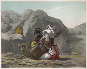 Äraber und Löwe