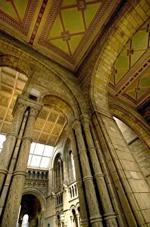 Natural History Museum Interior Drucke: Architectural features of the Main Hall
