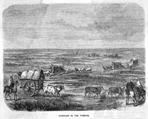Argentine Countryside Scenery Drucke: Argentina Pampas