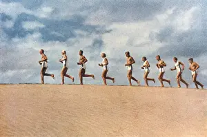 Arisch-Typen / Lauf