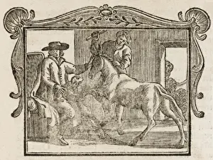 Der Esel und der Lapschwein