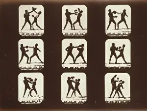 Historical Boxing Images Drucke: Athletes. Boxing