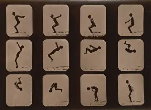 Vintage Gymnast Photos Drucke: Athletes. Back summersault