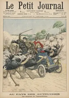 Vintage Cartoon Art Drucke: Attacked by Ostriches