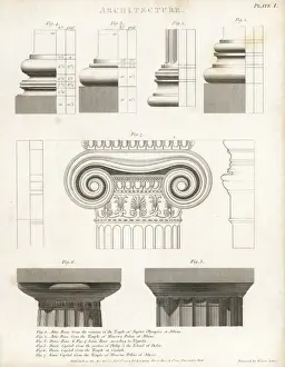 Abraham Rees Cyclopedia Prints Drucke: Attic, Doric and Ionic features from Greek architecture