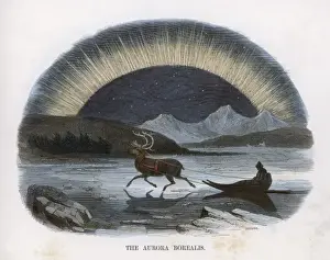 Winter Wonderland Image Drucke: Aurora (Whimper) C1860