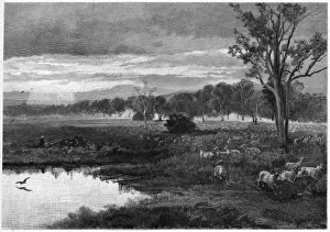 Australian Rural Landscape Photography Drucke: Australia Darling Downs