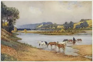 Australian Scenic Landscapes Drucke: Australia / Scenery