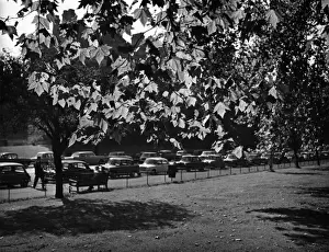 London Park Scenes Drucke: Autumn in Hyde Park