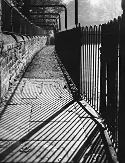 Autumn Scenery Drucke: Autumn Shadows