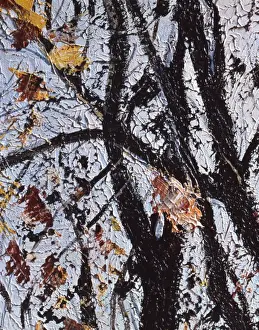 Malcolm Greensmith Artist Drucke: Autumnal trees