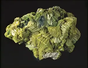 Natural History Museum Specimens Drucke: Autunite