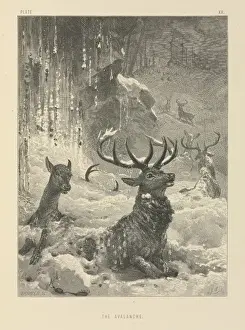 Victorian Era Animal Prints Drucke: The Avalanche