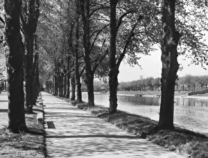 Worcestershire Landscape Photography Drucke: Avenue of Trees