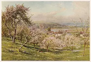 Drucke von Die Axt, Axmouth, Devon Axmouth Drucke: Axmouth, Devon, 1909