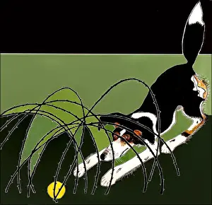 Balle und Büsche
