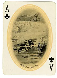 Bartletts Eissee