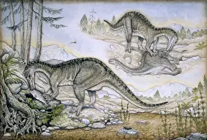 Baryonyx walkeri