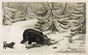 Bären angreifen Jäger