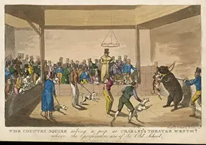 Bärenjagd im Zuge der Bear-Baiting (1821)