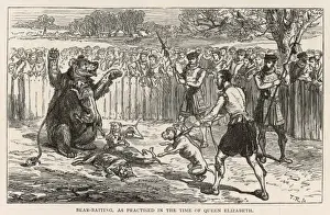 Antique Illustrations UK Drucke: Bear Baiting C 16