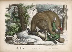 Bär / Der Jäger jagt