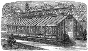 Victorian Greenhouse Drucke: Beards greenhouse
