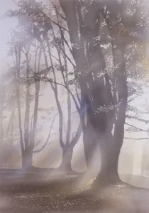 Malcolm Greensmith Artwork Drucke: Light through the trees