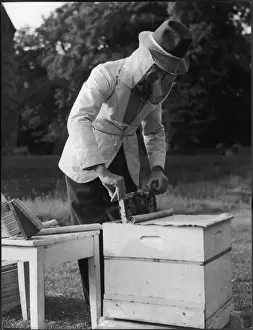 Apiculture Practices Drucke: BEE KEEPER