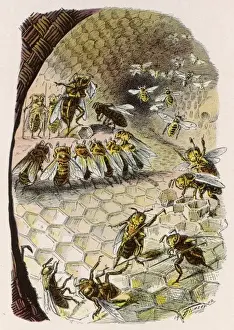 Bienenstock Szene 1902
