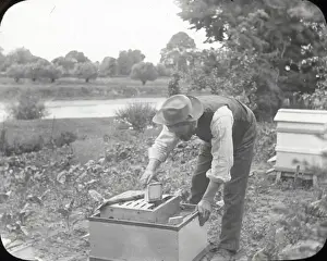 Insektenhaltungslampe-Filmreihe