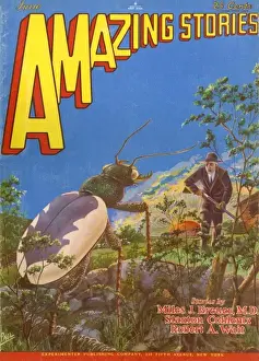 Die Ameisen-Experimente