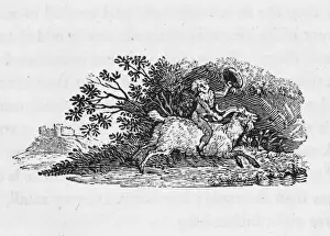 Bewick - Junge und Schaf