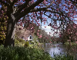 Bicklegahus am Fluss Exe, Devon
