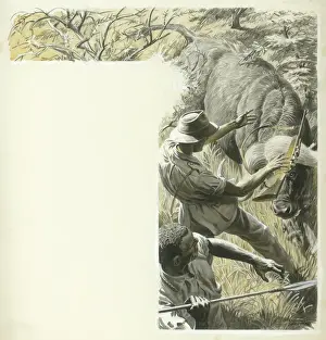 Historical Farm Animals Drucke: The Big Bull