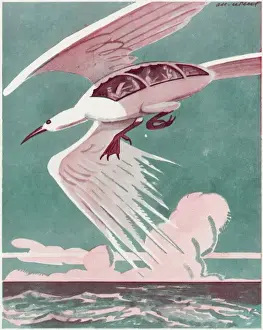 Retro Air Travel Posters Drucke: Is it a Bird ?