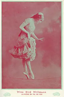 Tightrope Walker Drucke: Bird Millman