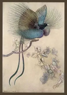 Vögel des Paradieses