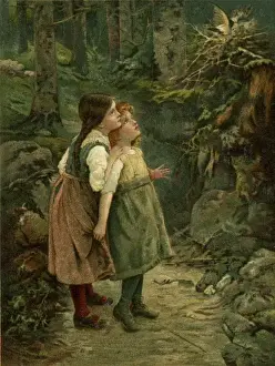 Woodland Scene Drucke: The Birds Nest