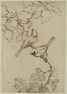 Zwei Vögel saßen auf Traubenvinzen
