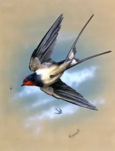 Ein Schwanz im Flug