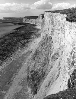 English Coastline Images Drucke: Birling Gap Cliffs